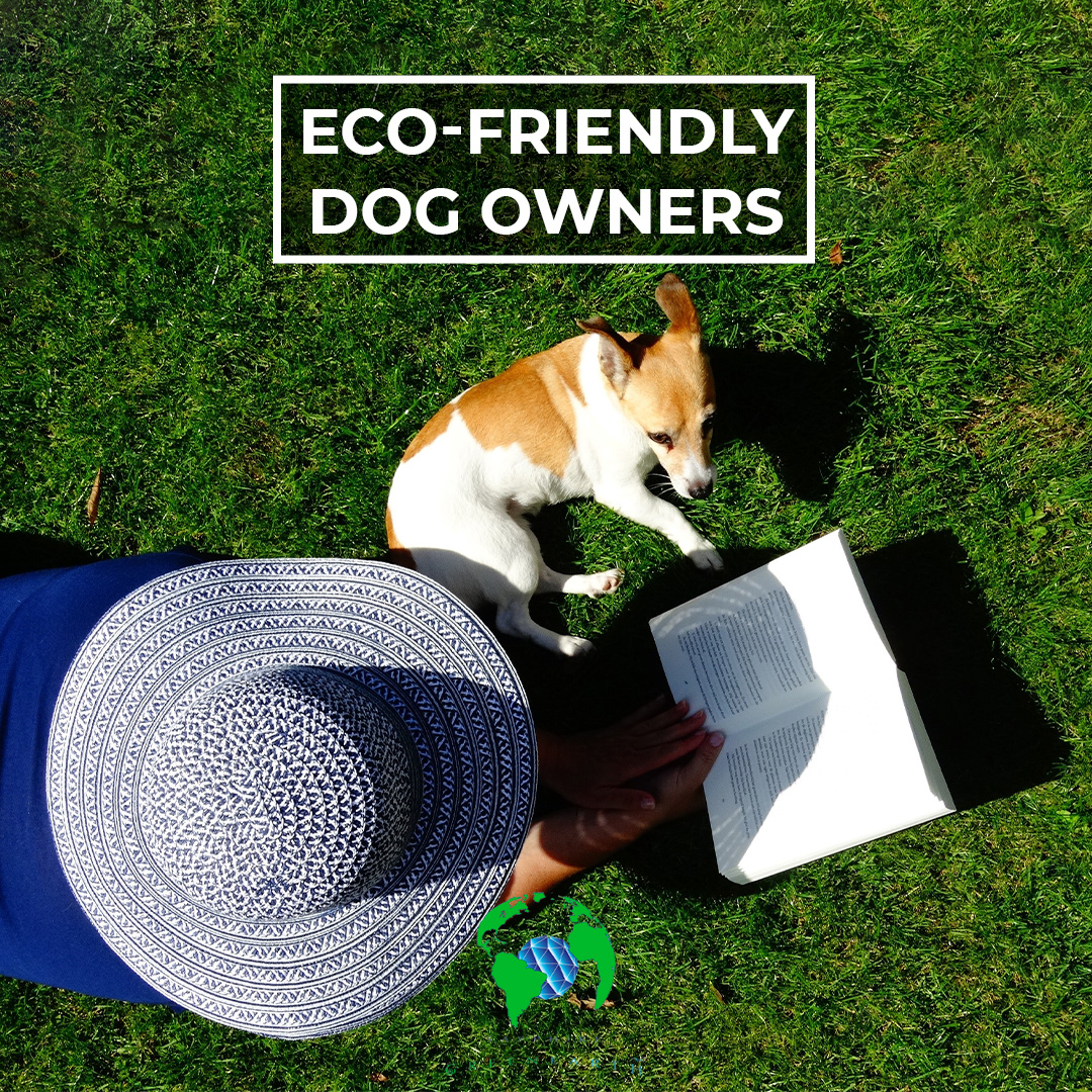 tips-for-eco-friendly-dog-lovers