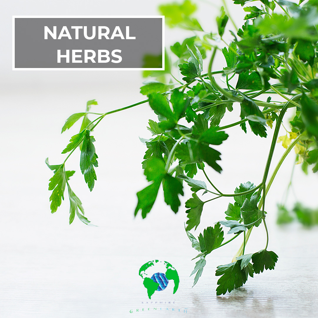 growing-and-using-natural-herbs-in-your-home