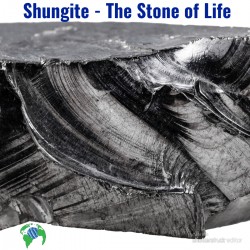 shungite-the-stone-of-life